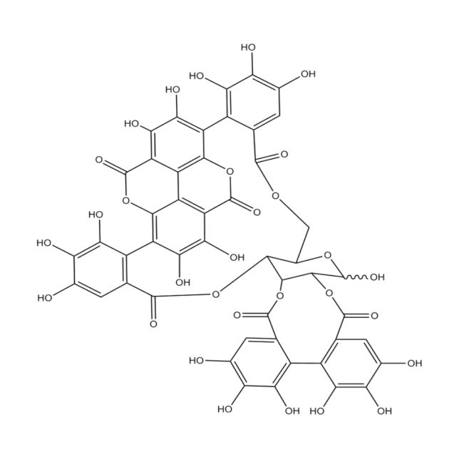 MCB Lab